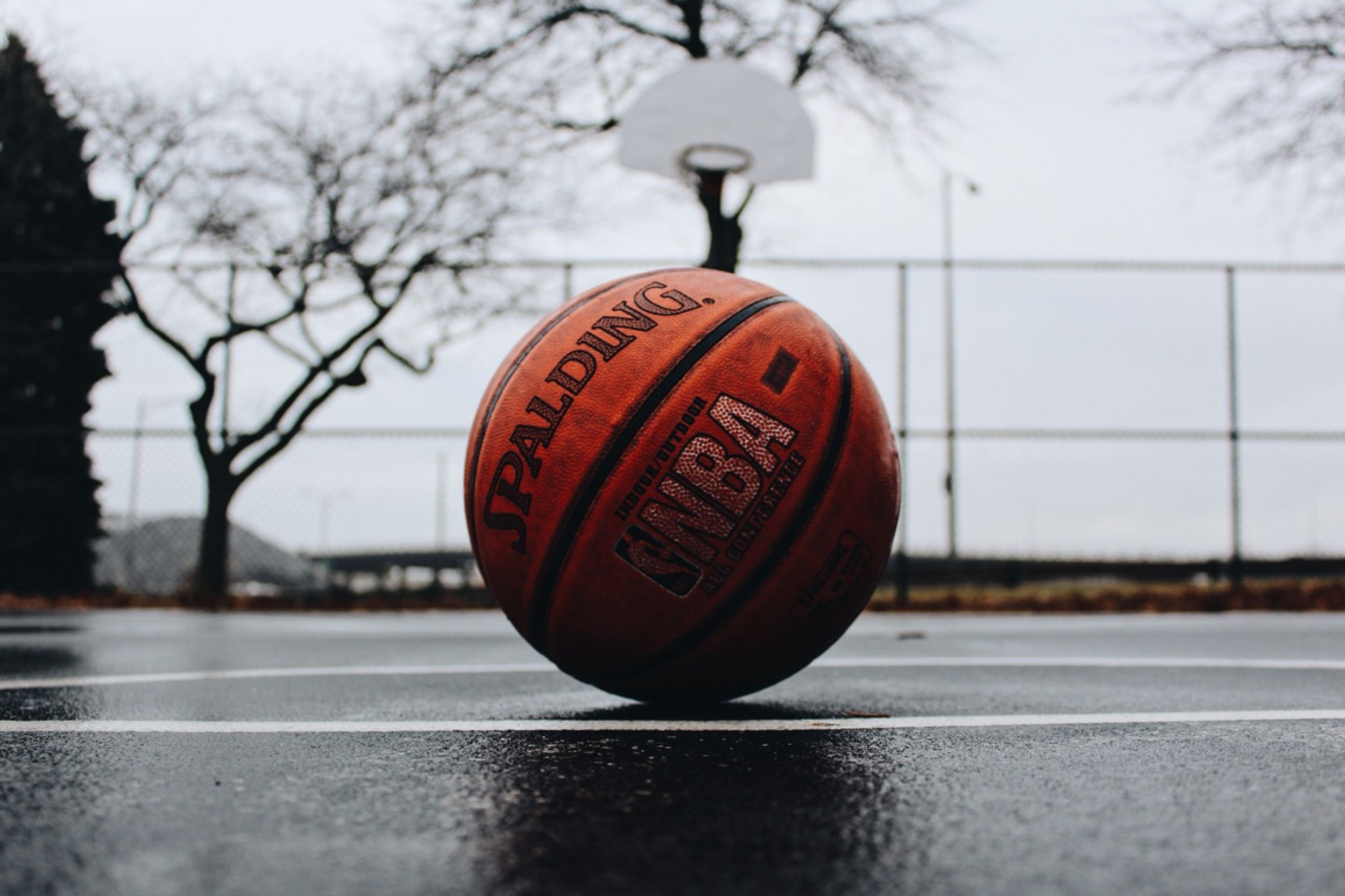 Philadelphia Sixers Tickets Packages: Options, Prices, & More