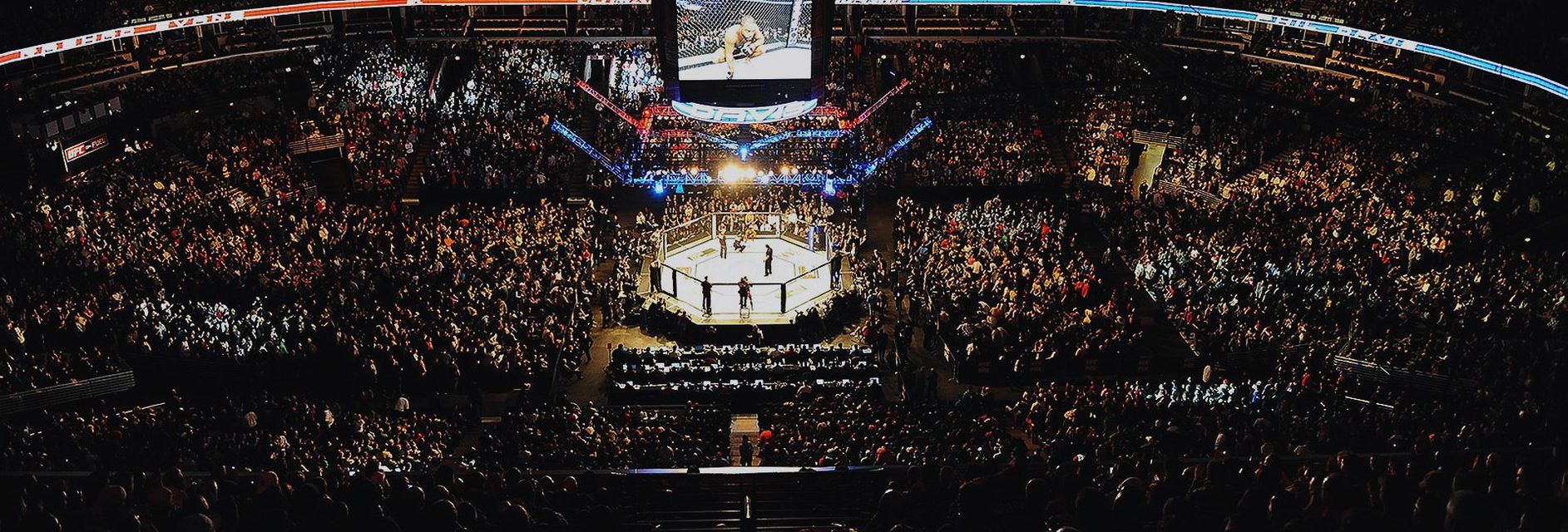 5 Infallible Ways to Get Cheap UFC 241 Tickets this Summer